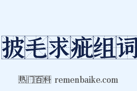 披毛求疵组词是什么意思的图片